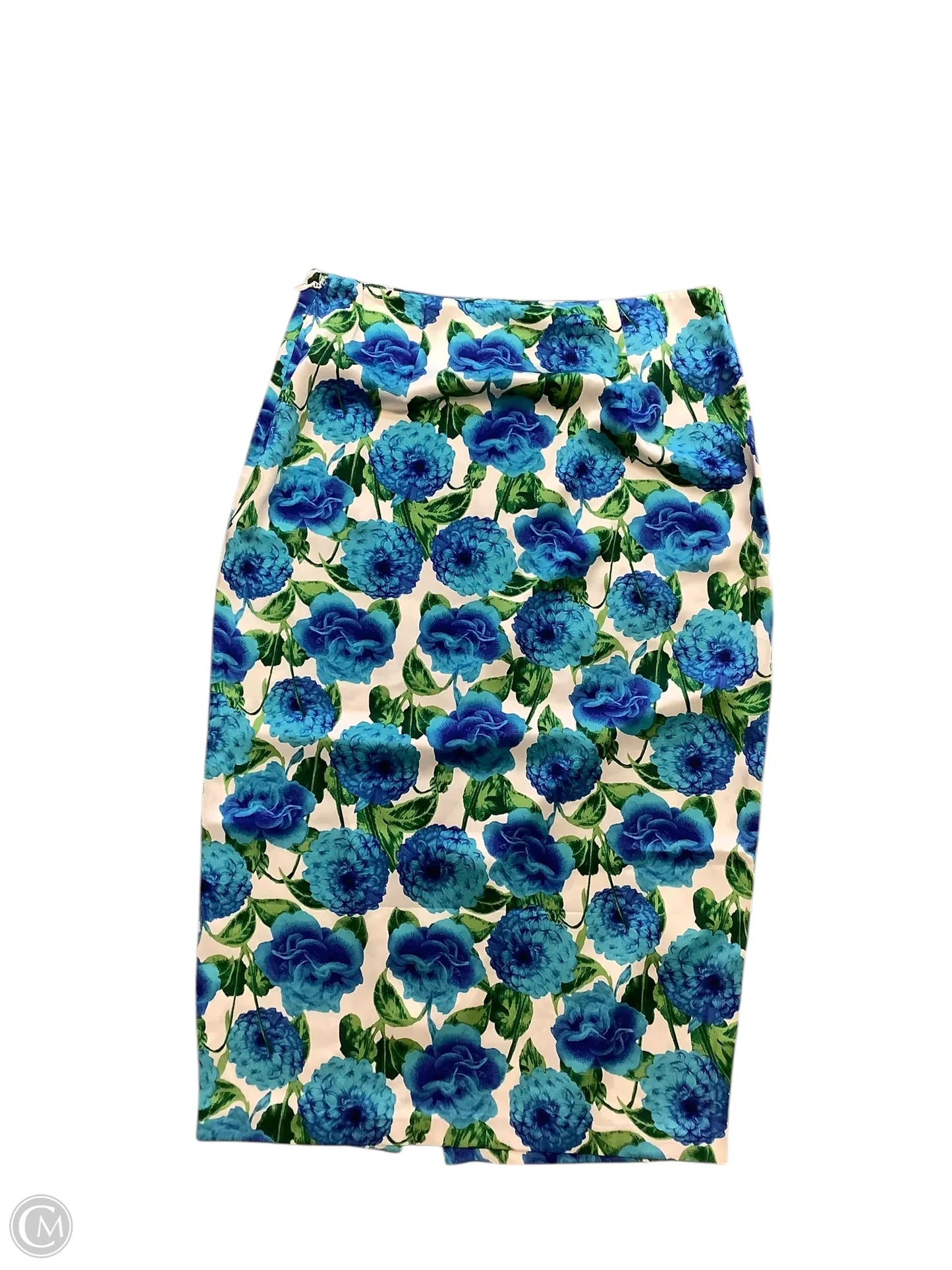 Skirt Maxi By New York And Co Size: 12