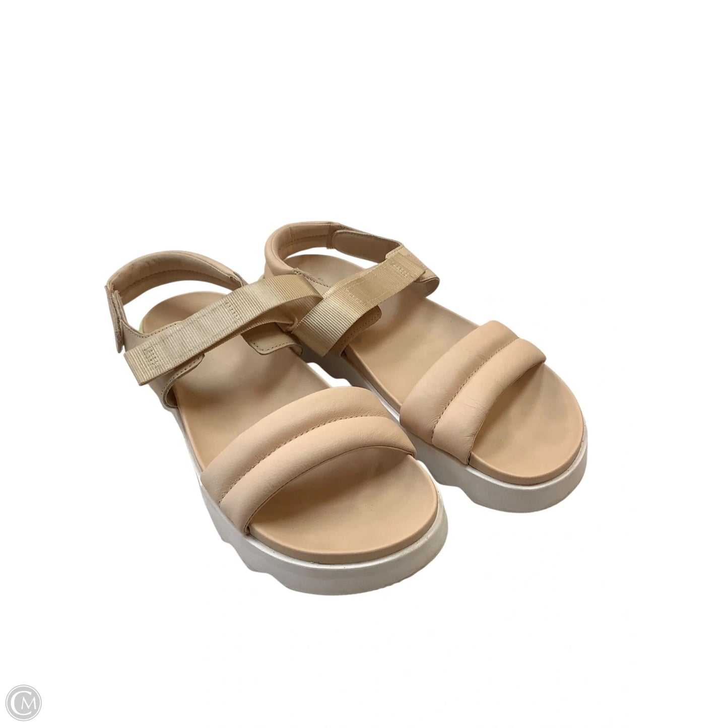 Sandals Flats By Sorel In Tan, Size: 11