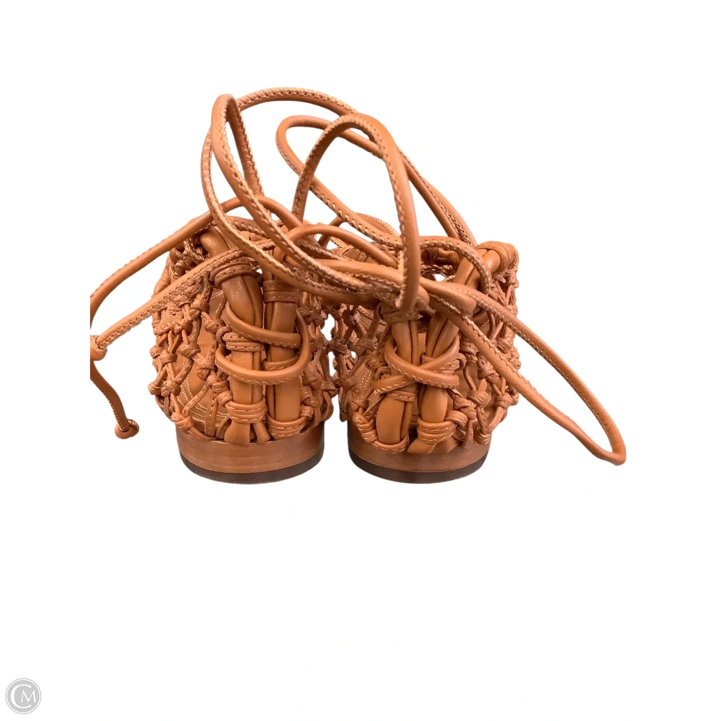 Shoes Designer By Tory Burch In Brown, Size: 8