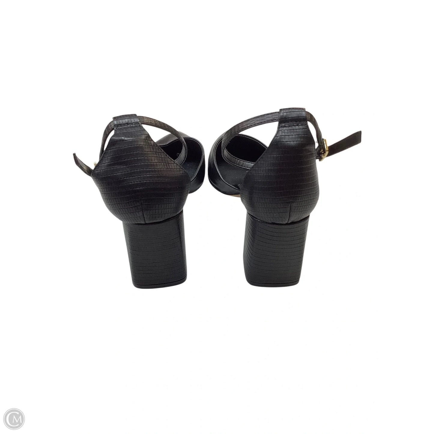 Shoes Heels Block By Aldo In Black, Size: 8