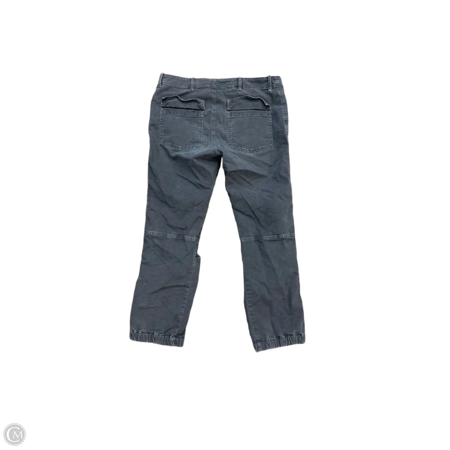 Pants Cargo & Utility By Nili Lotan In Blue, Size: 8