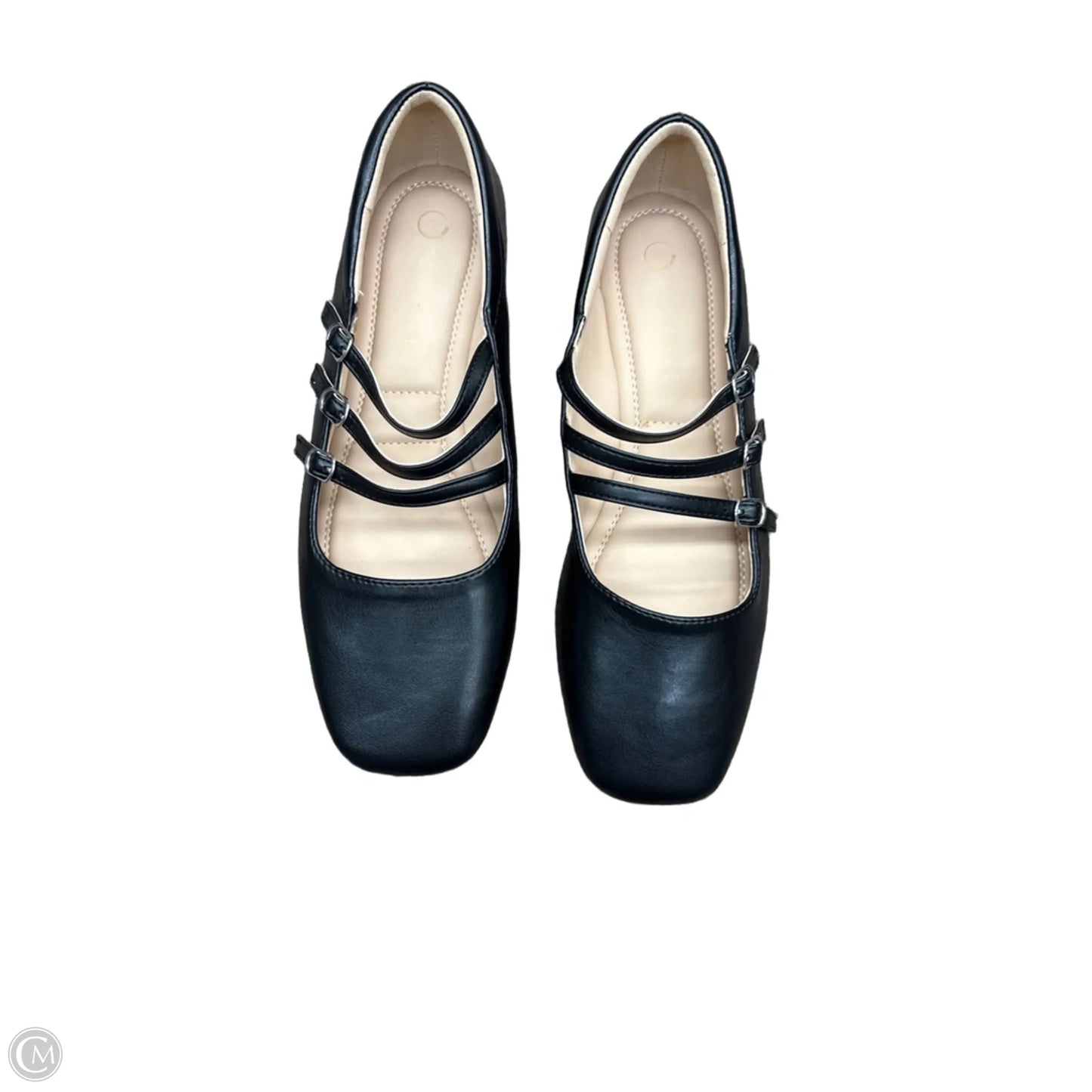 Shoes Flats By Clothes Mentor, Size: 9.5
