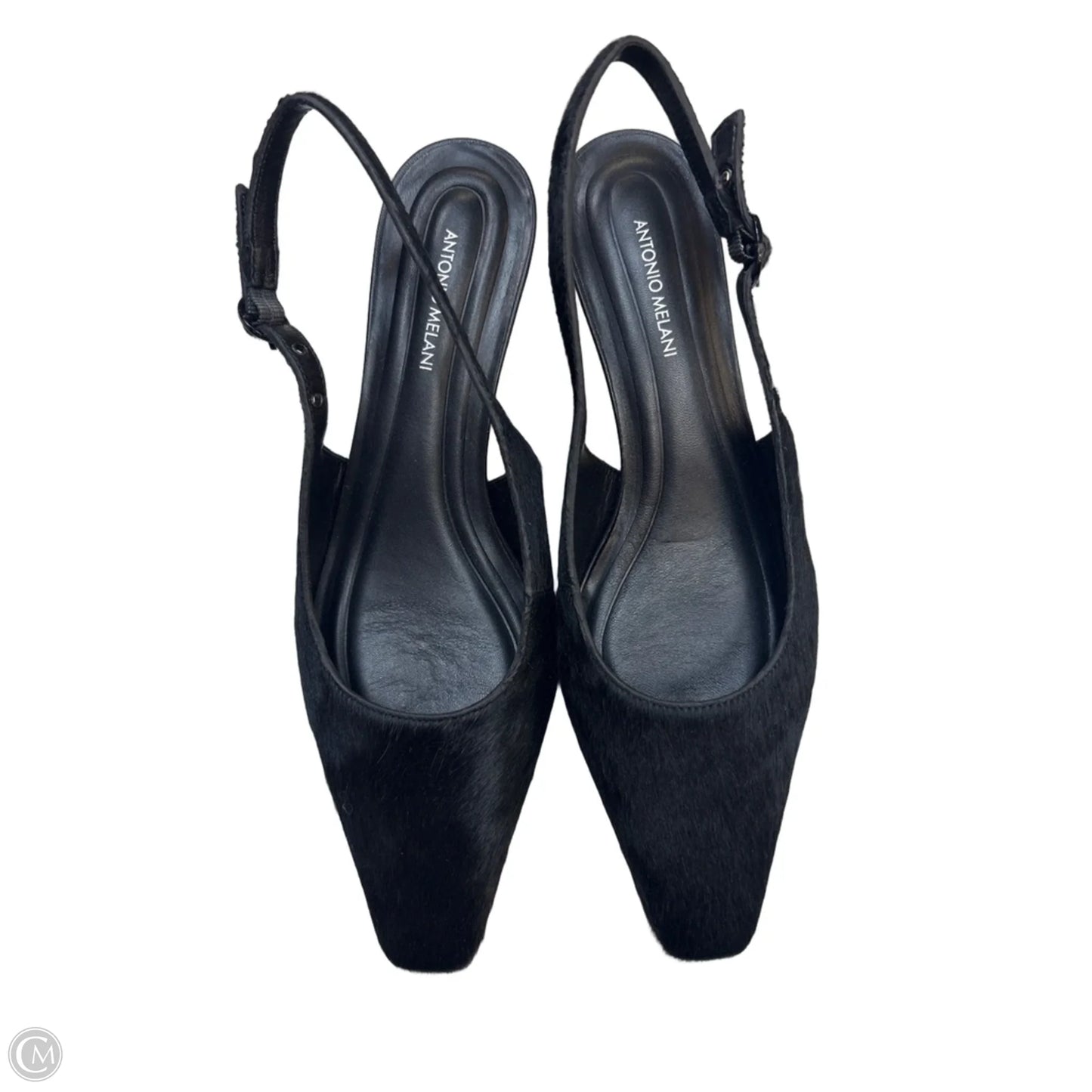 Shoes Heels Kitten By Antonio Melani In Black, Size: 8