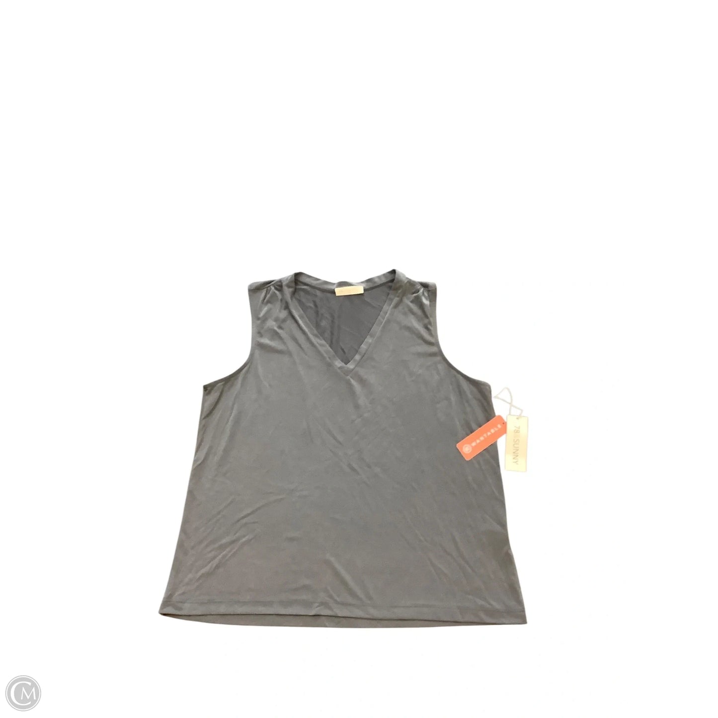 Top Sleeveless Basic By Clothes Mentor In Grey, Size: 1x