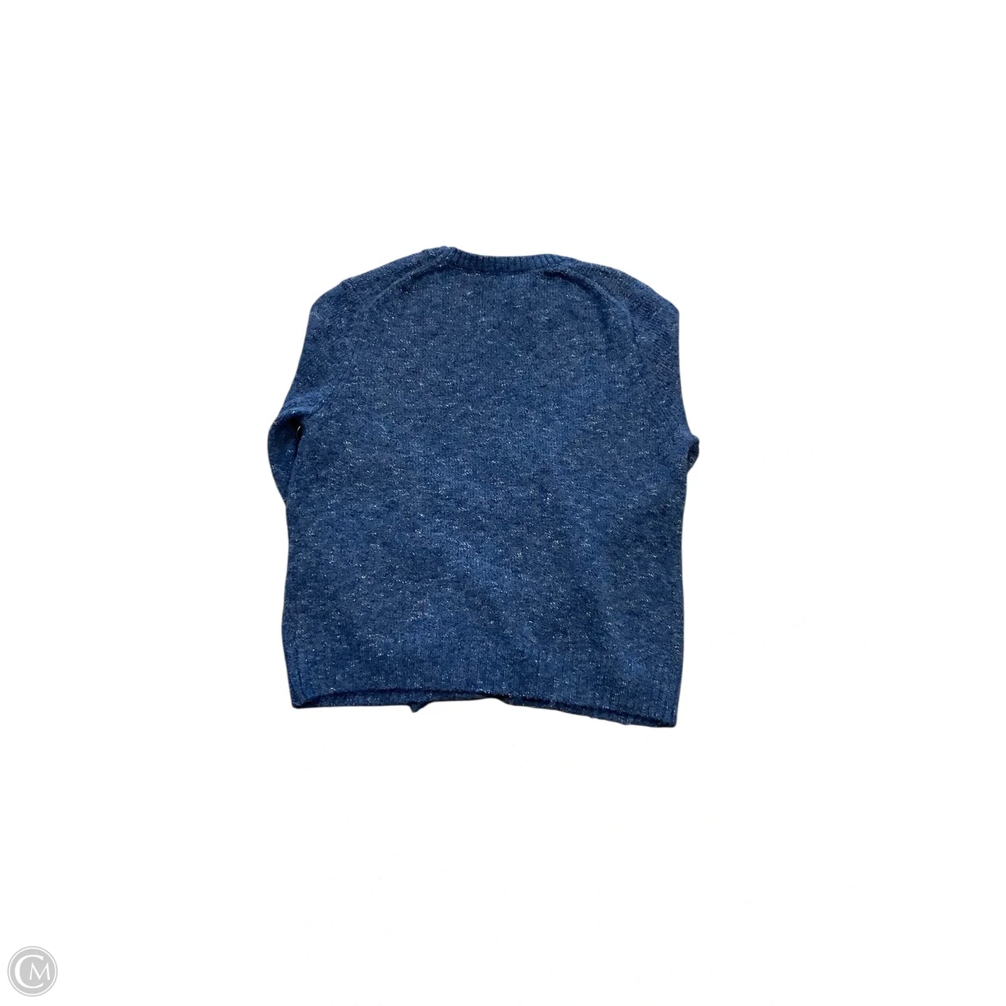 Sweater By Elliott Lauren In Blue, Size: L