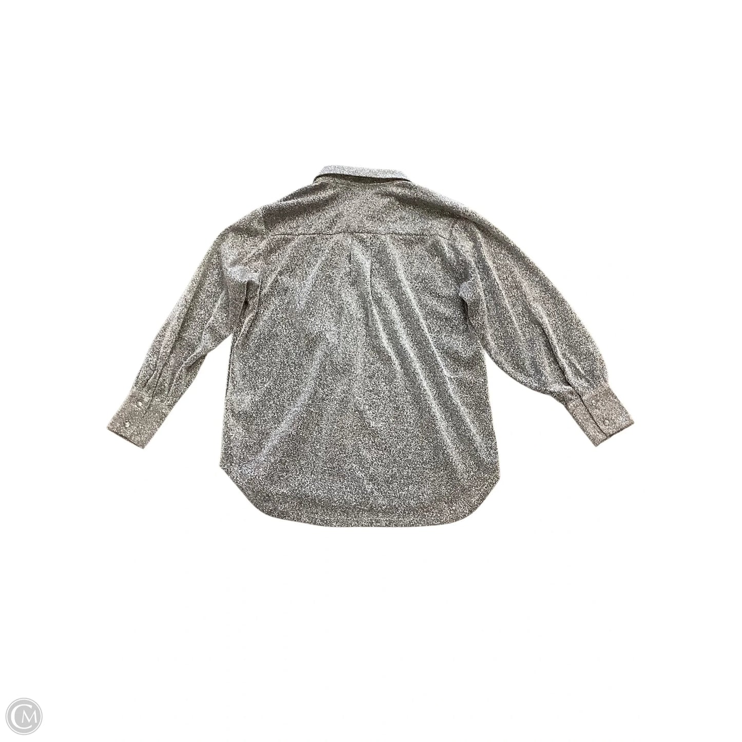 Blouse Long Sleeve By Blue B In Silver, Size: M
