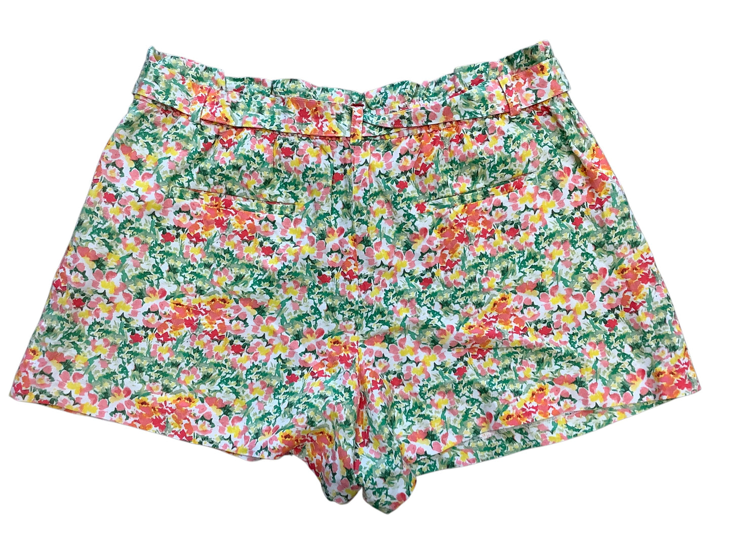 Shorts By Loft  Size: Xxl