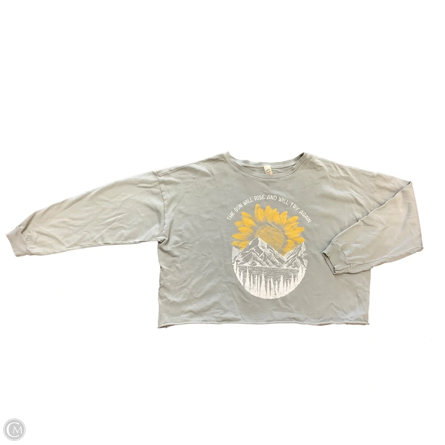 Sweatshirt Crewneck By Love In Grey, Size: L