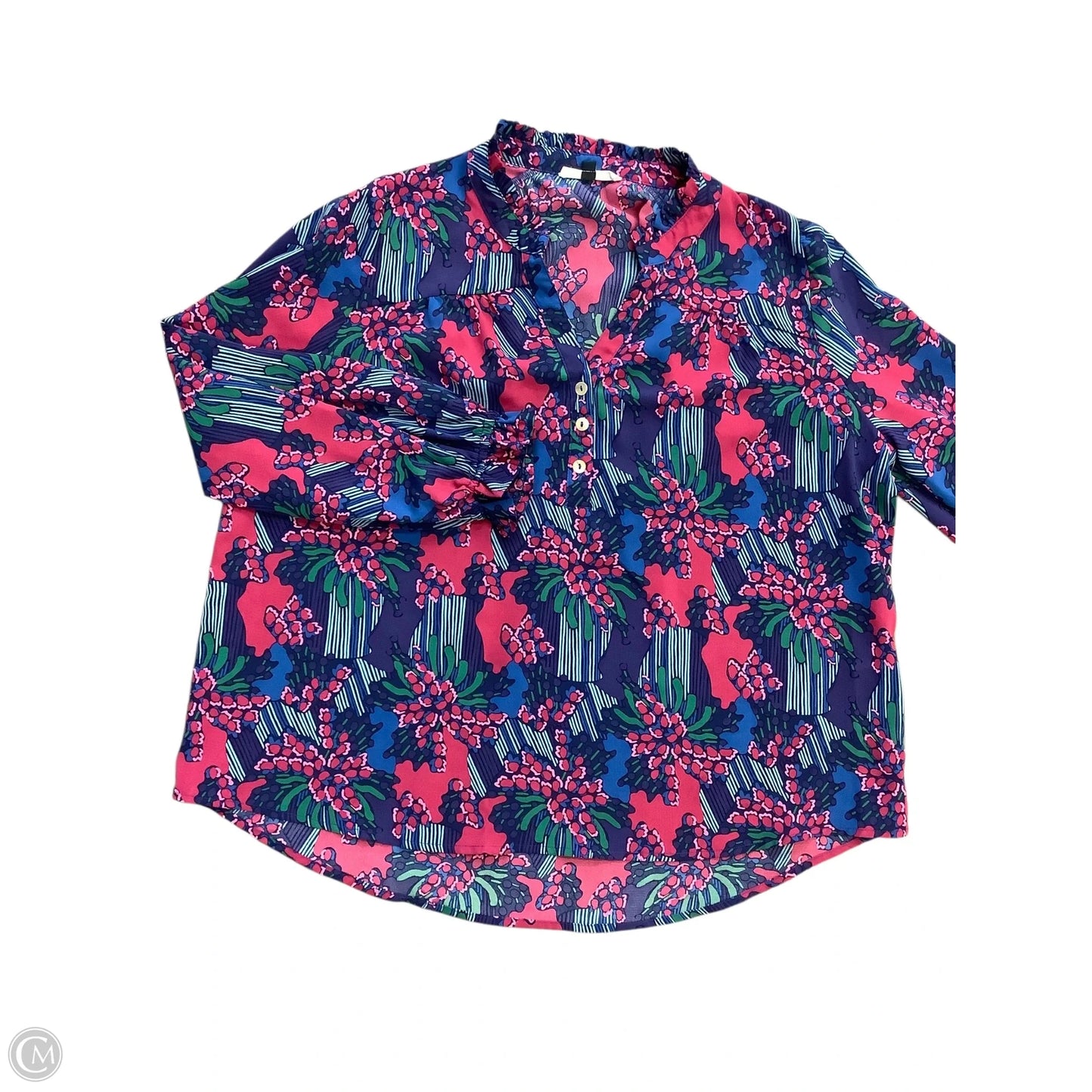 Blouse Long Sleeve By Cmc In Blue & Pink, Size: S