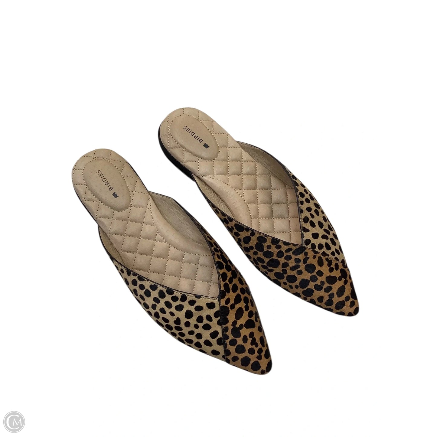 Shoes Flats By Birdies In Animal Print, Size: 8.5