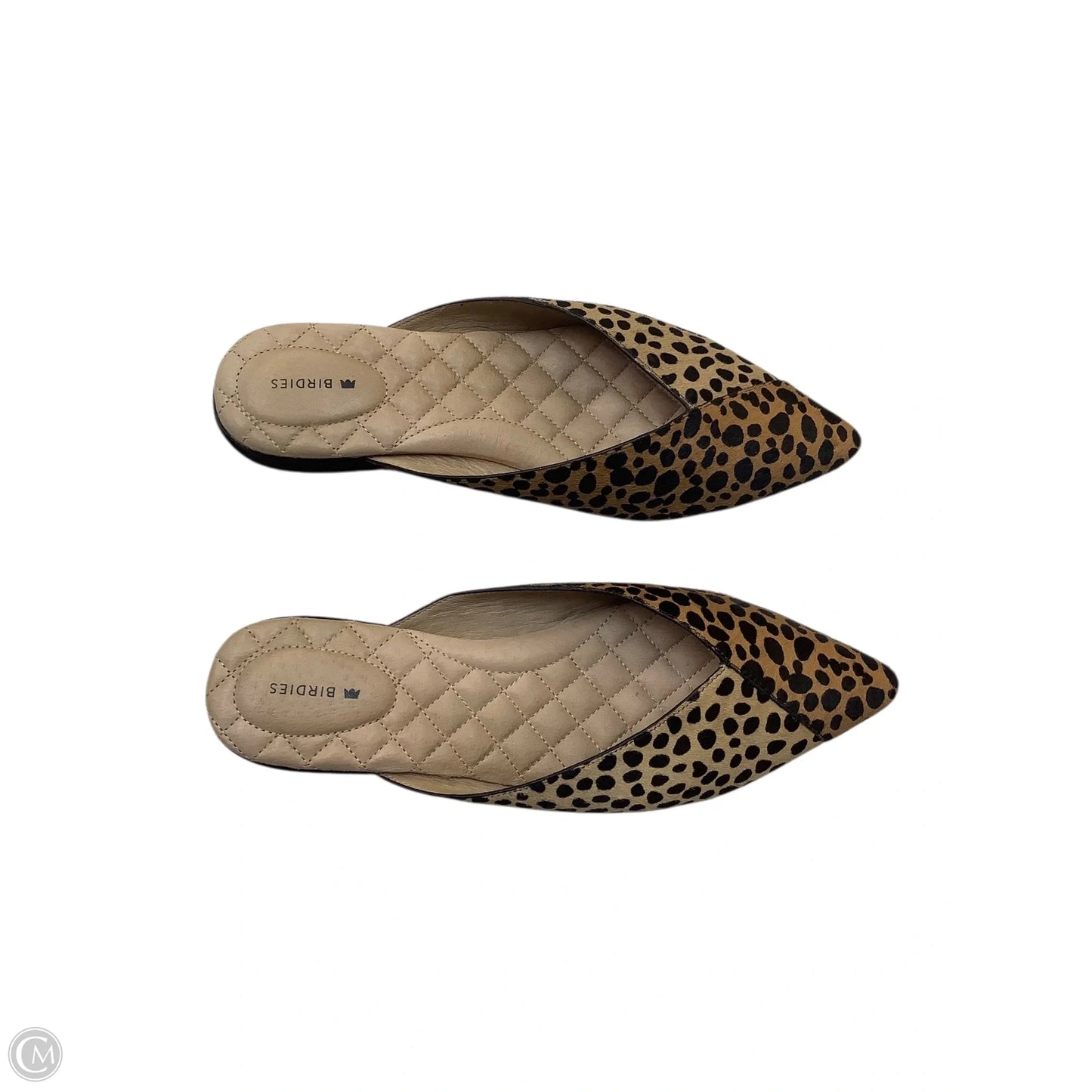 Shoes Flats By Birdies In Animal Print, Size: 8.5
