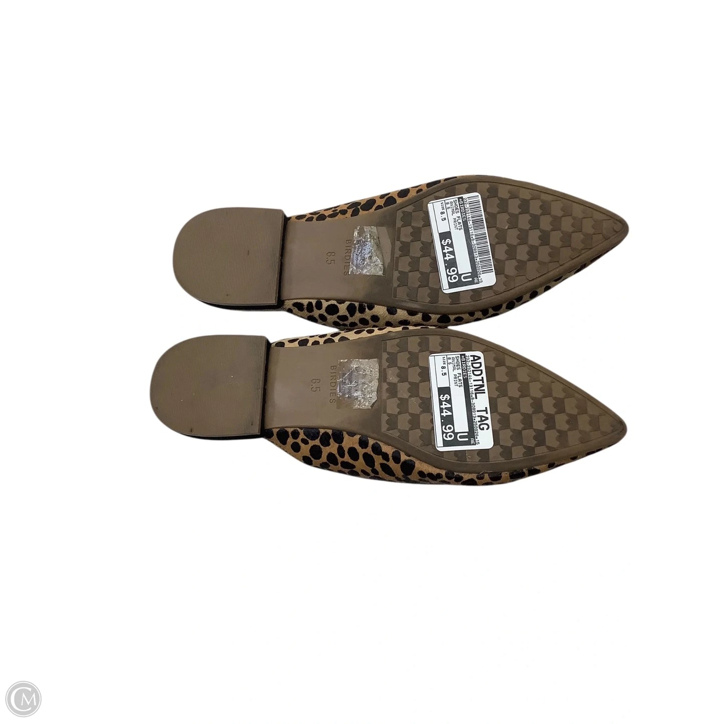 Shoes Flats By Birdies In Animal Print, Size: 8.5