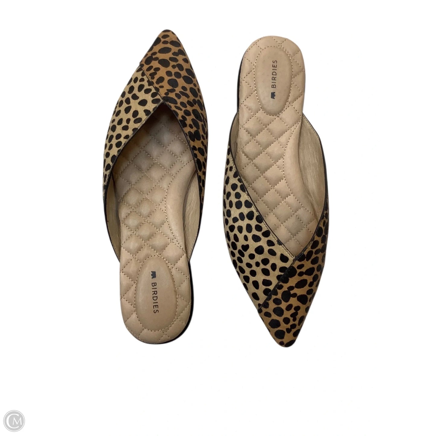 Shoes Flats By Birdies In Animal Print, Size: 8.5