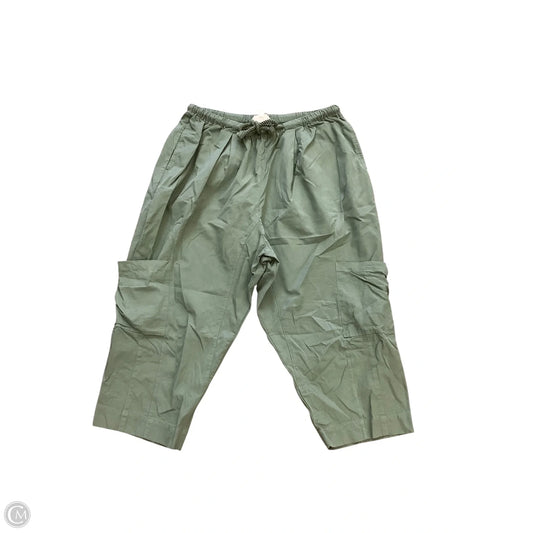Pants Cargo & Utility By Cmb In Green, Size: M