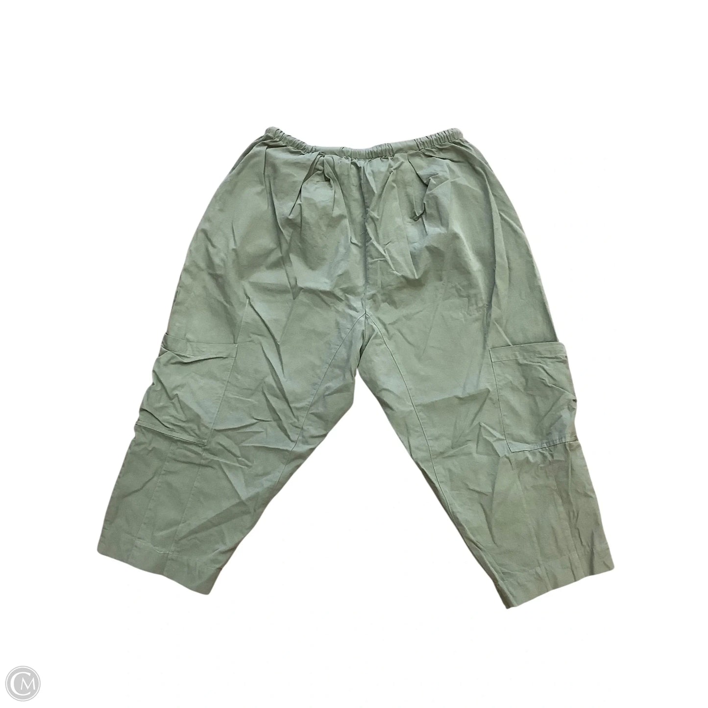 Pants Cargo & Utility By Cmb In Green, Size: M