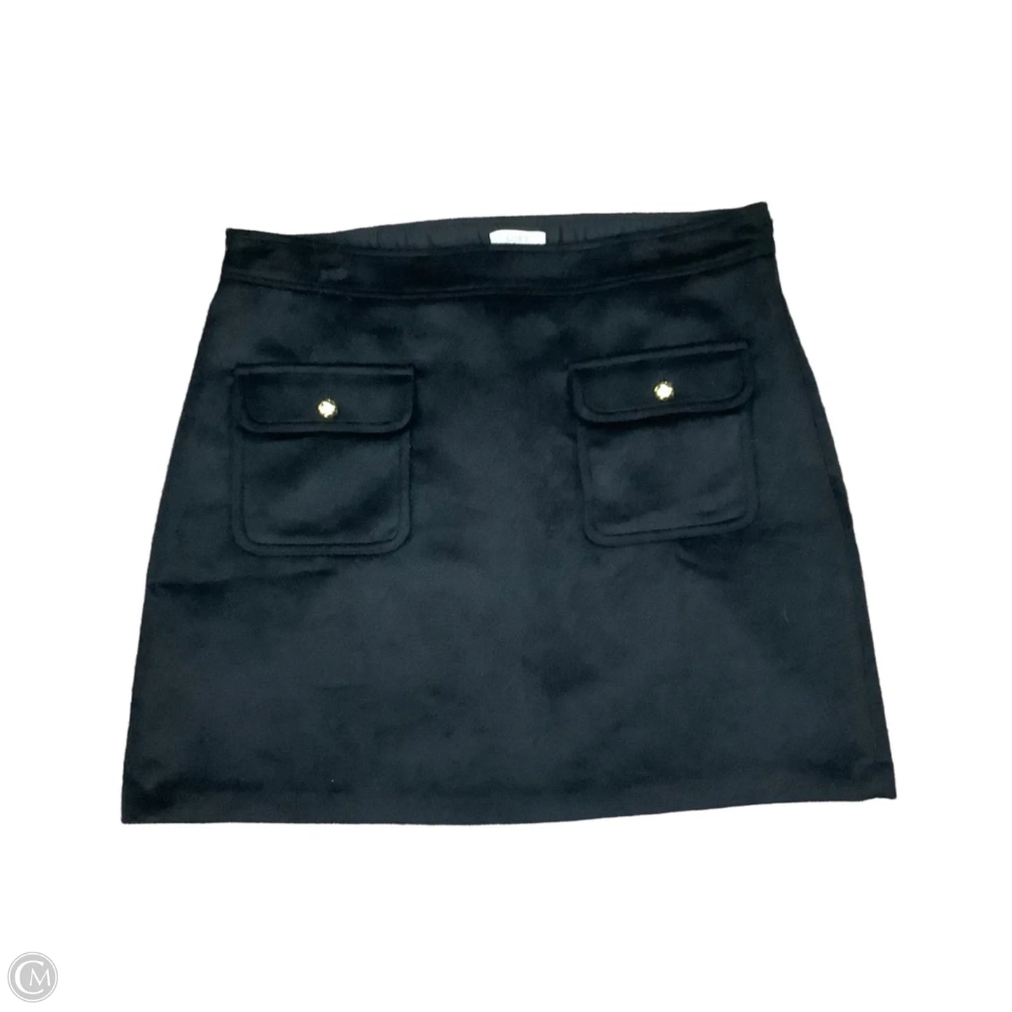 Skirt Mini & Short By Loft In Black, Size: 16