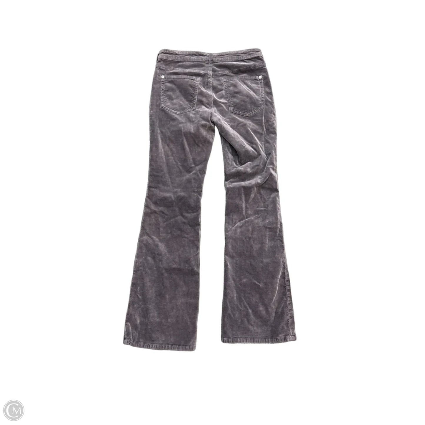Pants Corduroy By Pilcro In Grey, Size: 8