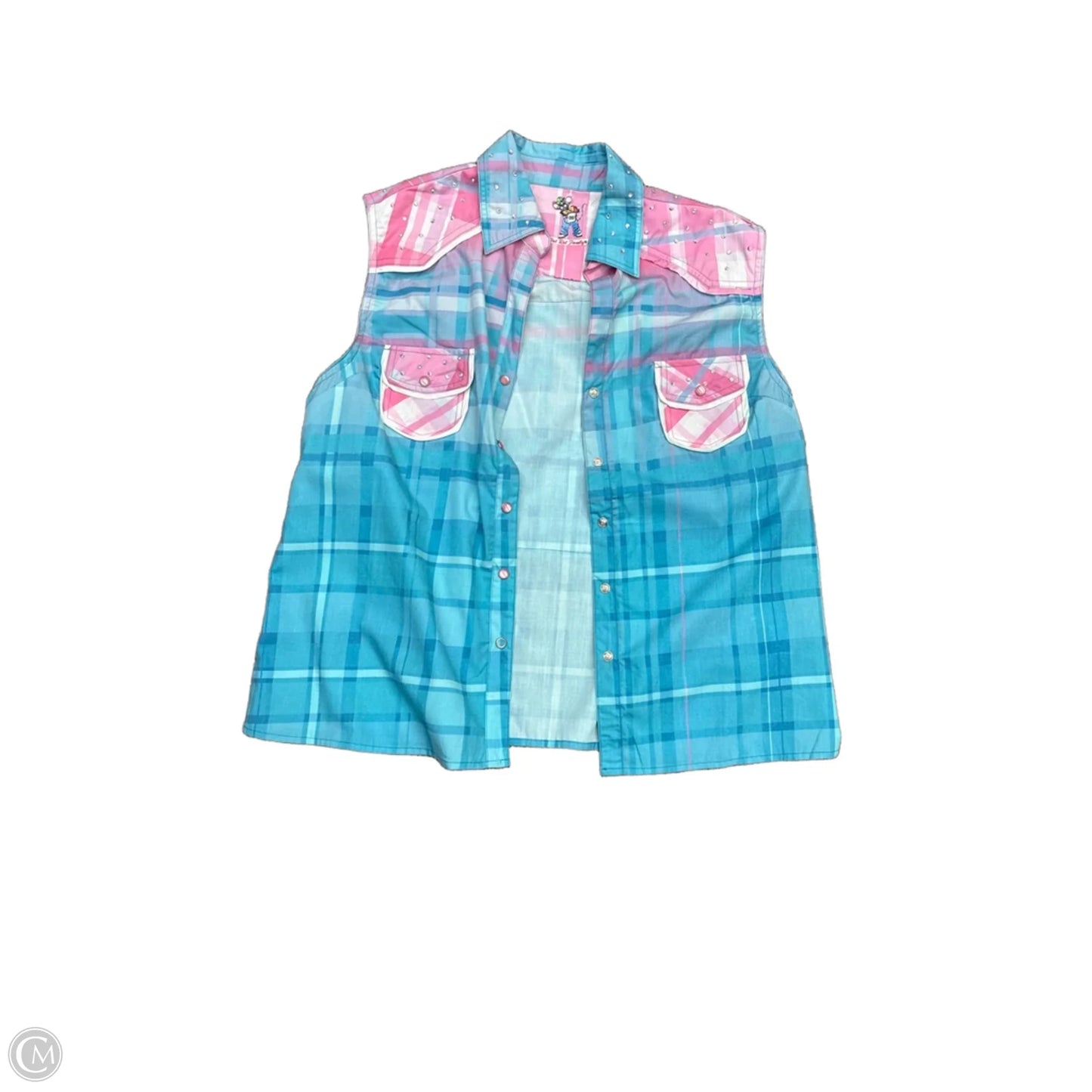 Top Sleeveless By Clothes Mentor In Aqua, Size: Osfm