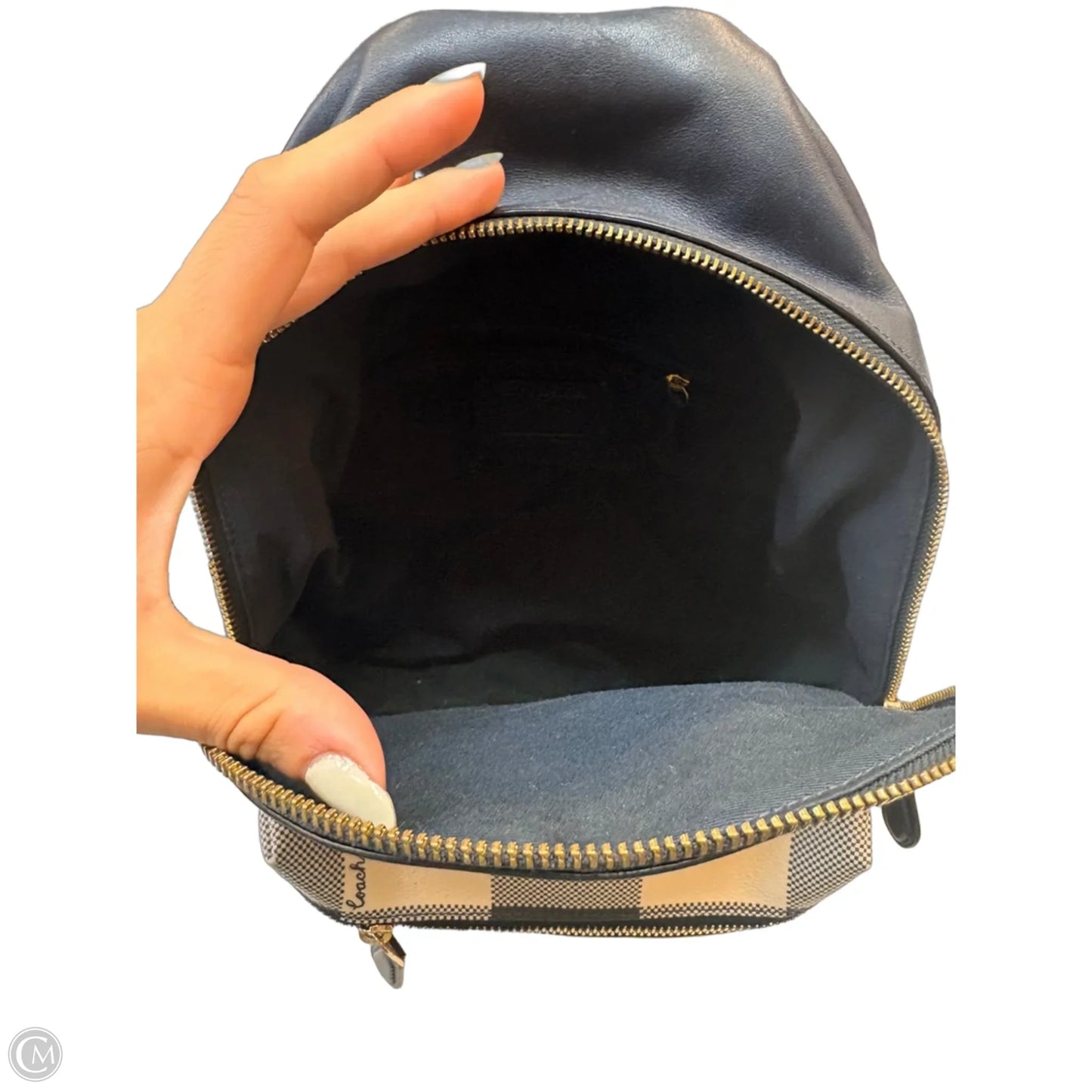 Backpack Designer By Coach, Size: Medium