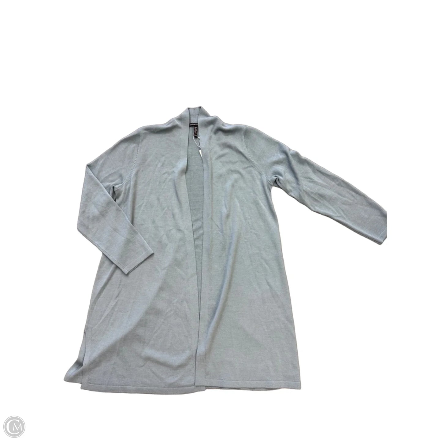 Sweater 2pc By Eileen Fisher In Blue, Size: M