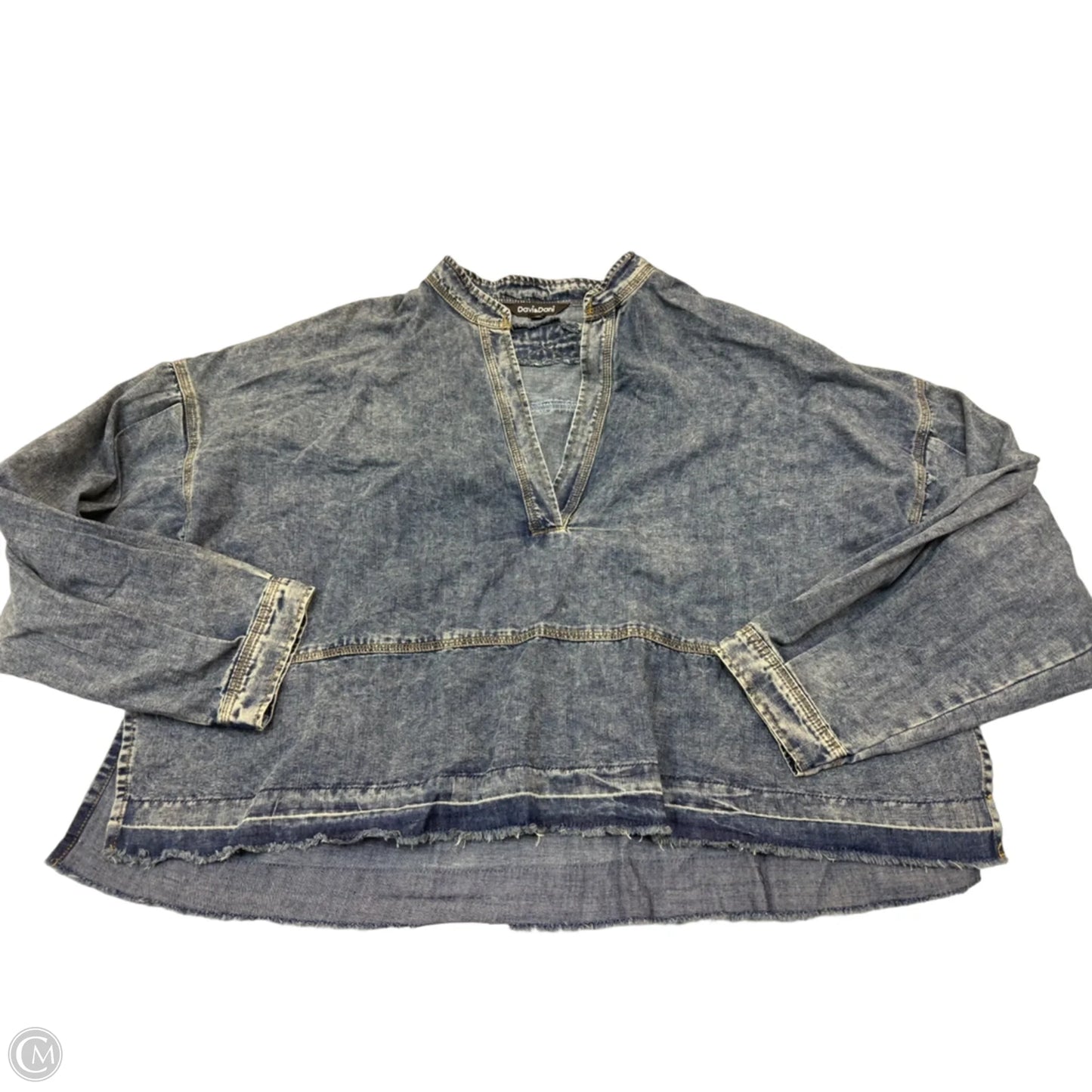 Top Long Sleeve By Davi & Dani In Blue, Size: 1x