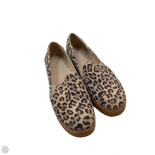 Shoes Flats By Toms In Animal Print, Size: 6.5
