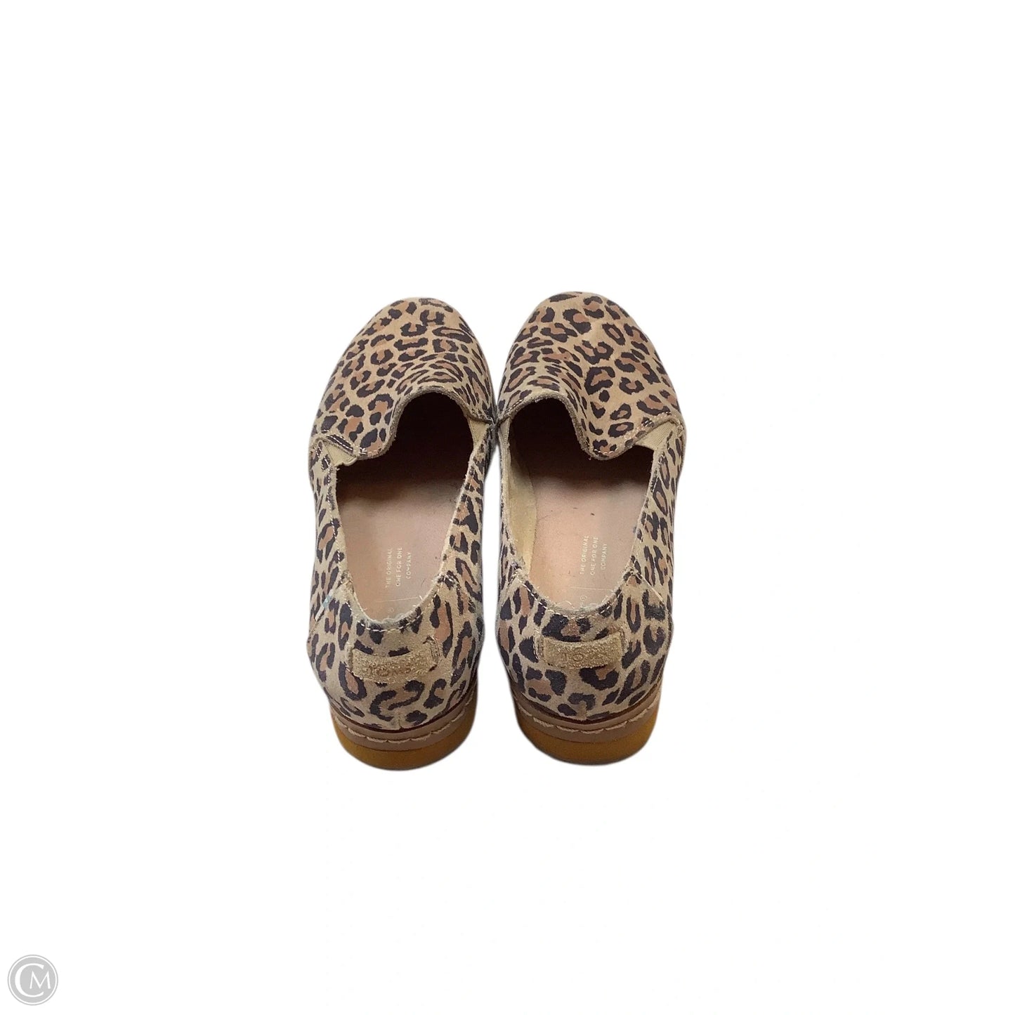 Shoes Flats By Toms In Animal Print, Size: 6.5