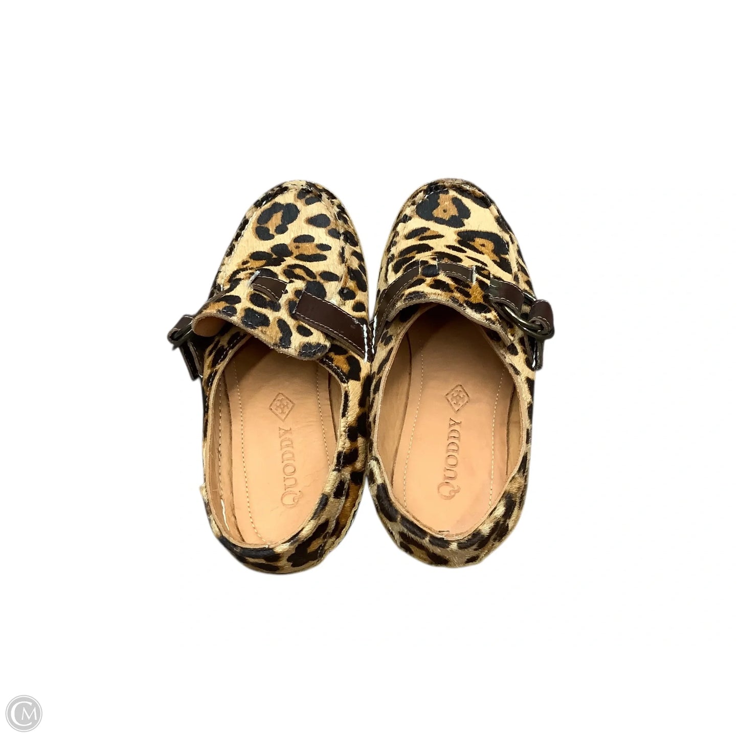 Shoes Flats By Cma In Animal Print, Size: 7