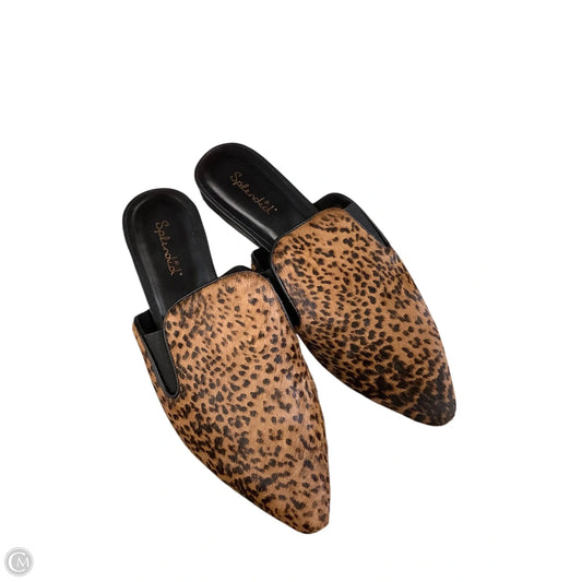 Shoes Flats By Splendid In Animal Print, Size: 7.5