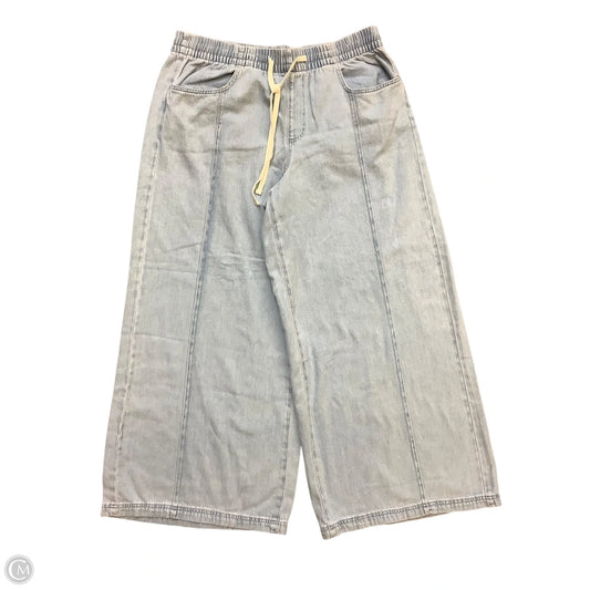 Jeans Wide Leg By Universal Thread In Blue Denim, Size: Xl