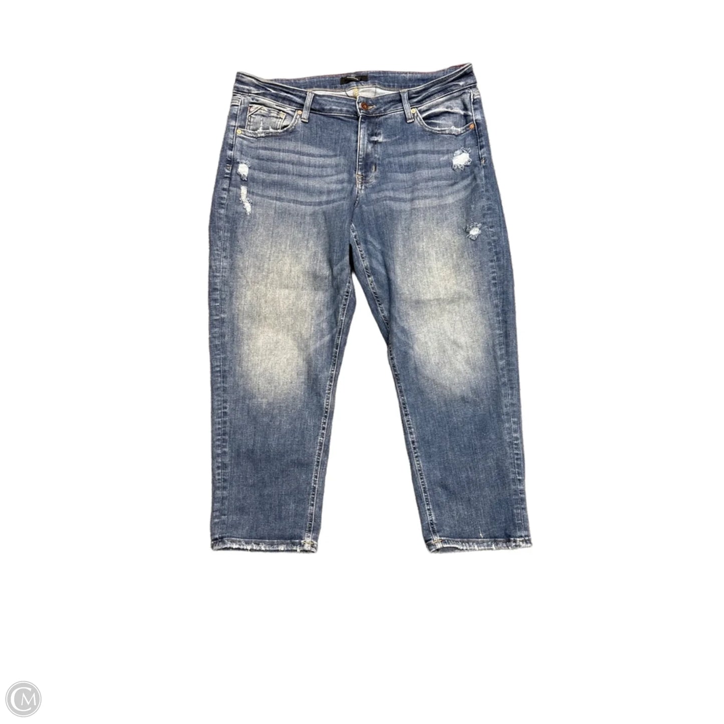 Jeans Wide Leg By Edgely In Blue Denim, Size: 14