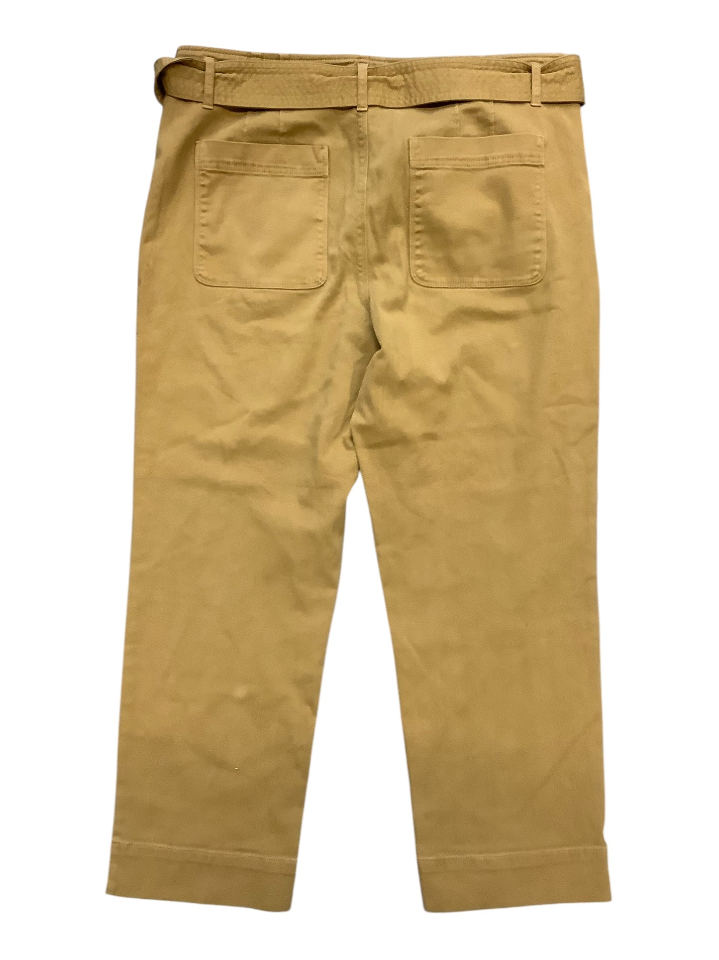 Pants Cargo & Utility By Loft In Brown, Size: 14