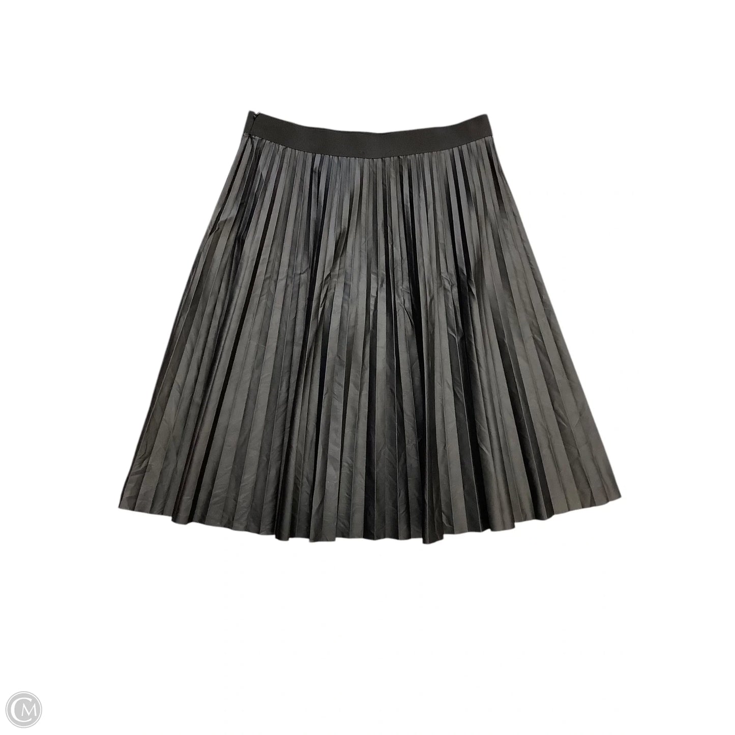 Skirt Maxi By Rachel Zoe In Black, Size: L