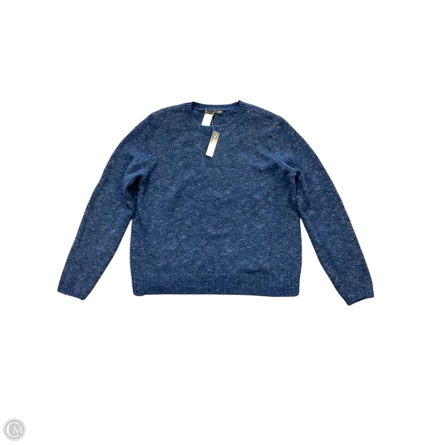 Sweater By Elliott Lauren In Blue, Size: L