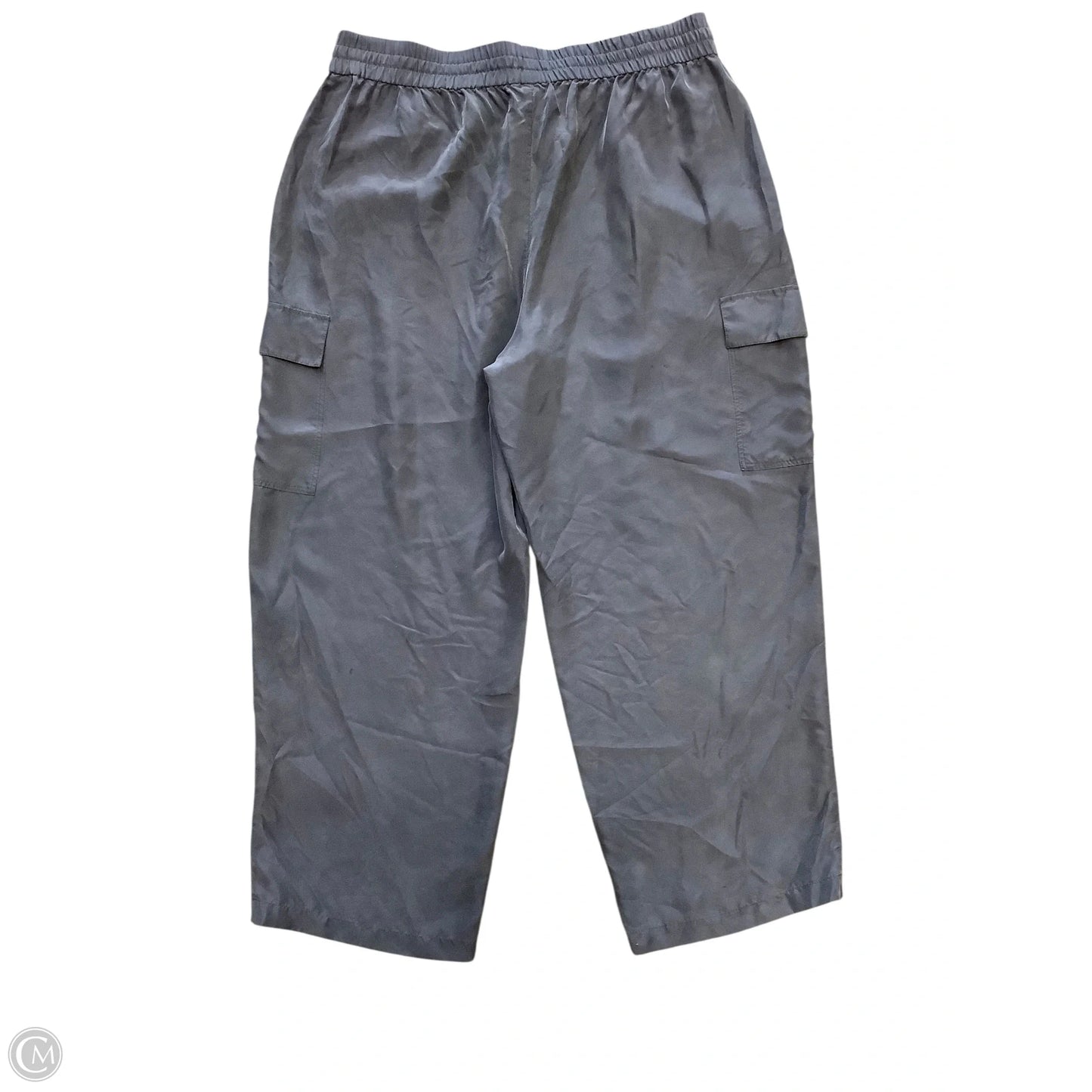Pants Other By Eileen Fisher In Blue, Size: Lp