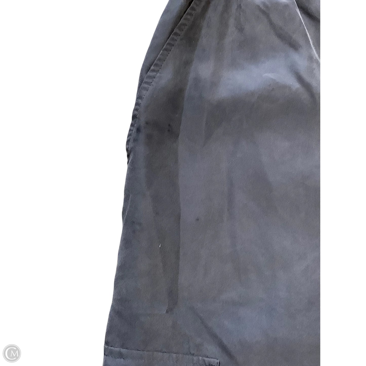 Pants Other By Eileen Fisher In Blue, Size: Lp